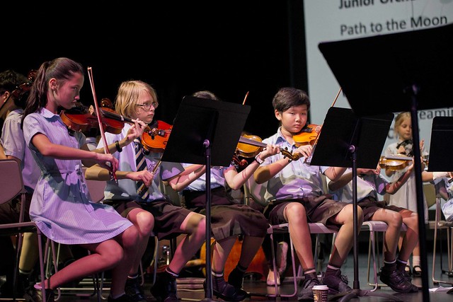 Summer Concert